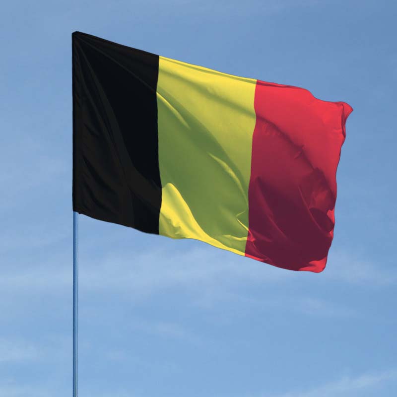 Руководитель епархиального Отдела принял участие в приеме по случаю Национального праздника Бельгии
