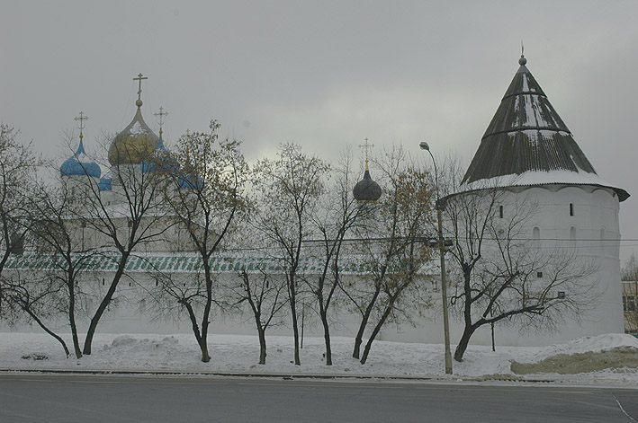 В Новоспасском монастыре прошла секция Рождественских чтений «Крестный ход: история, современность и развитие»